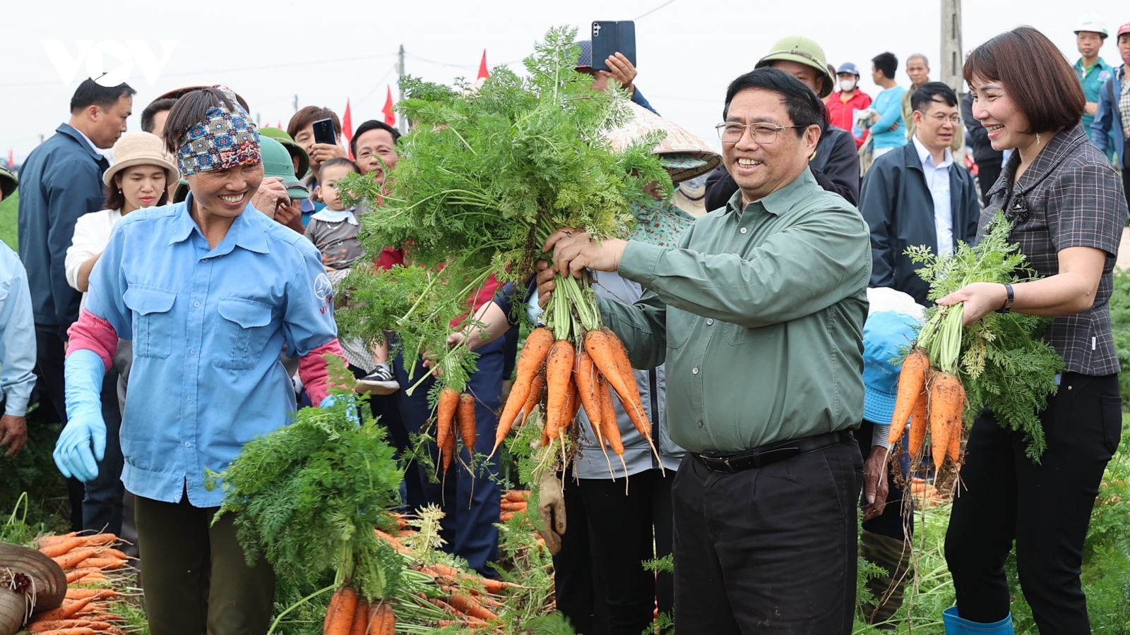 Thủ tướng xuống đồng cấy lúa, thu hoạch cà rốt cùng nông dân